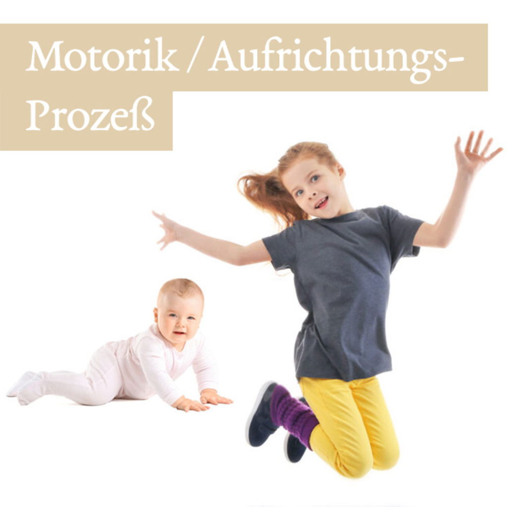 Motorik Aufrichtungsprozess